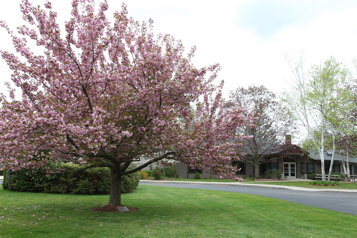 Parents' Association logo